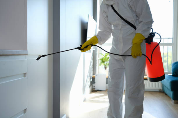 Best Commercial Mold Remediation in Sanibel, FL